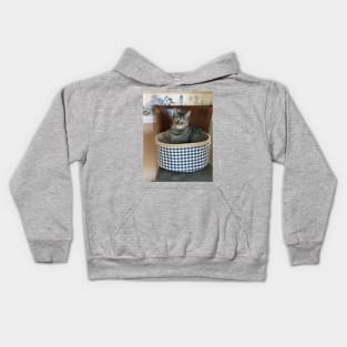 Kitty in a Basket Kids Hoodie